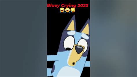 Bluey Crying 2023 😭😭😢💔 Youtube