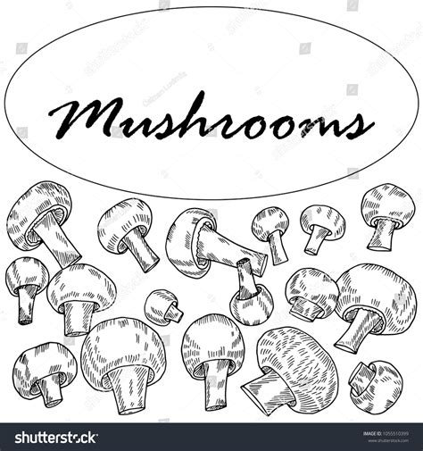 Hand Drawn Sketch Style Mushroomsvector Illustration Stock Vector