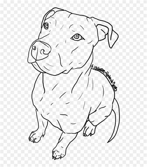 Drawn Pitbull Body - Drawings Easy To Trace Clipart is best quality and ...