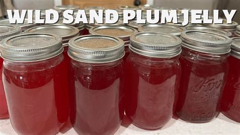 Sand plum jelly recipe – Artofit