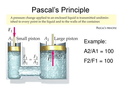 Solids Fluids Elasticity Of Solids Pressure And Pascals Principle