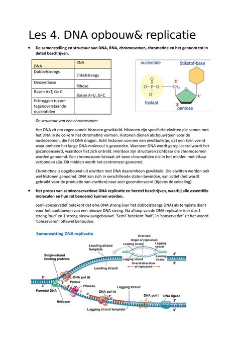 Les Dna Opbouw Replicatie Les Dna Opbouw Replicatie De