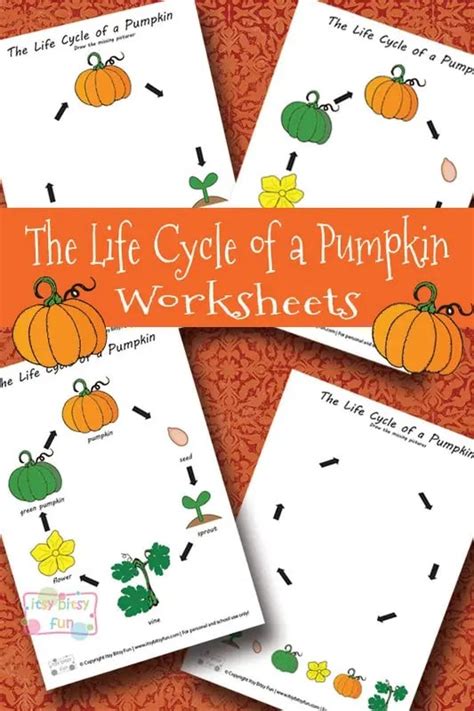 Life Cycle Of A Pumpkin Worksheet Printable Word Searches