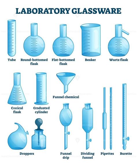 Laboratory glassware vector illustration - VectorMine