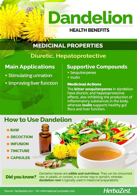 5 Proven Health Benefits Of Dandelion Page 5