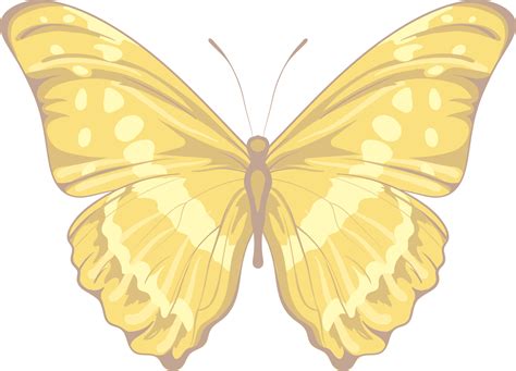 Illustration Beautiful Butterfly Paint 9597668 Png