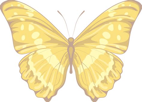 Illustration Beautiful Butterfly Paint Png