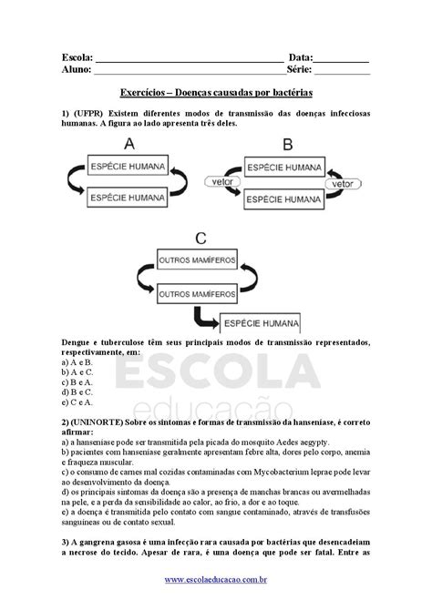 Atividades Sobre Microrganismos 4 Ano Acessaber