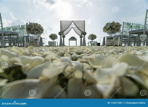 Wedding Arch Decoratewith White and Green Flowers Outdoors. Stock Image - Image of decorate ...