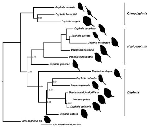 Hydrobiology | An Open Access Journal from MDPI