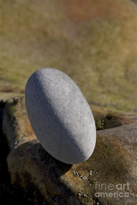 Egg-Shaped Stone Photograph by Heiko Koehrer-Wagner