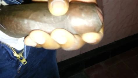 My Cum Shot Gay Man Man Porn XHamster