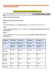 Copy Of 3 05 Wellness Plan Docx Copy And Paste Assessment Worksheet