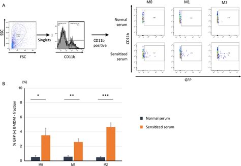 ADCP In BMDMs Was Enhanced By Sensitized Serum Representative FCM