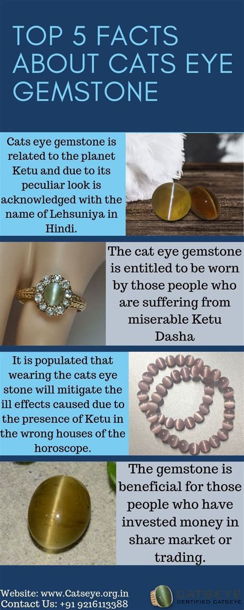 Top 5 Facts About Cats Eye Gemstone Cats Eye Stone Gemstones Cat Facts