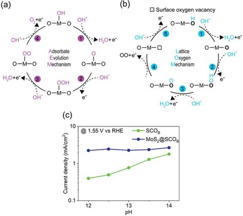 Schematics Of The Two Possible Oer Mechanisms A Adsorbate Evolution