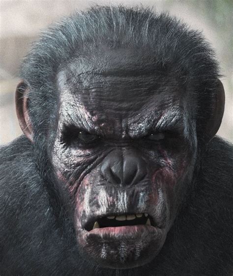 Koba Remastered Enrique Sagasta Planet Of The Apes Monkey Art