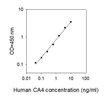 Human CA4 Immuno PCR Assay Kit BIQ ELISA RayBiotech