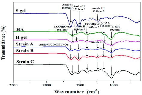 Atr Ftir Transmission Spectra Of Varying Functional Groups Of Sf Ha