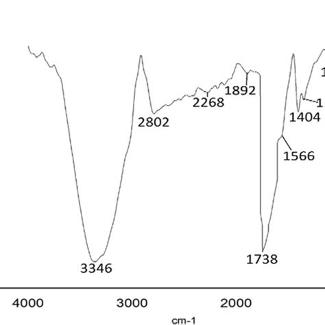 The Gc Ms Chromatogram Of Biodiesel Download Scientific Diagram