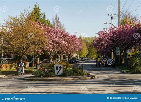 Vancouver Canada April 27 2018 Street With Cherry Blossoms In