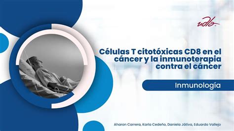 Células T citotóxicas CD8 en el cáncer y la inmunoterapia contra el