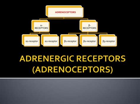 Adrenergic Agonists Ppt