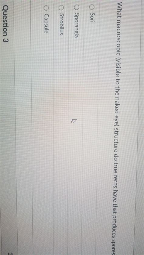 Solved What Macroscopic Visible To The Naked Eye Structure Chegg