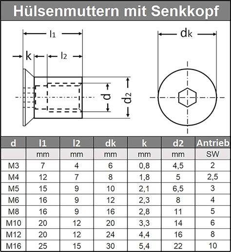 Kalorie Obstgarten Krater H Lsenmutter M Edelstahl Innensechskant