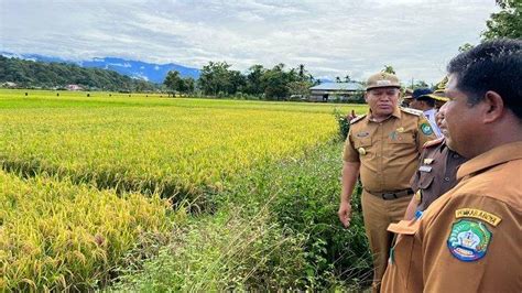 Pj Bupati Abdya Tinjau Persiapan Kunjungan Wamentan Serambinews