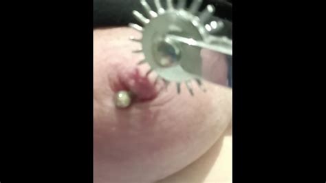 Painful Nipple Torture Needle Pricking Pinwheel On Pierced Tits