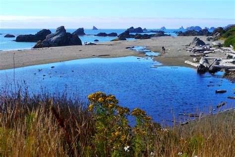 16 Best Things To Do In Brookings Oregon Touristsecrets