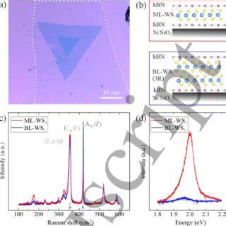 A Optical Micrograph Of A Hbn Encapsulated Ws Flake Grown By Cvd At