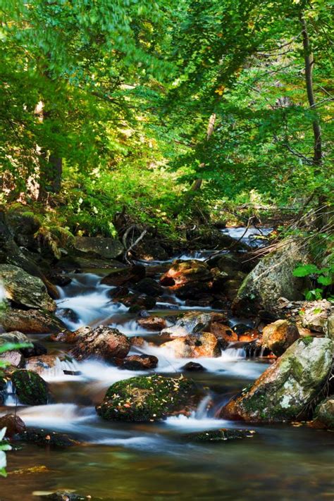 Free Images Landscape Tree Nature Forest Outdoor Rock Waterfall