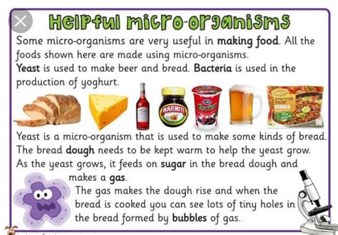 Microorganisms And Foods Display Poster Teacher Made 54 Off