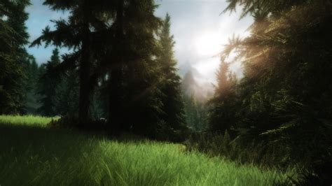 Online Crop Green Trees The Elder Scrolls V Skyrim Enb Hd