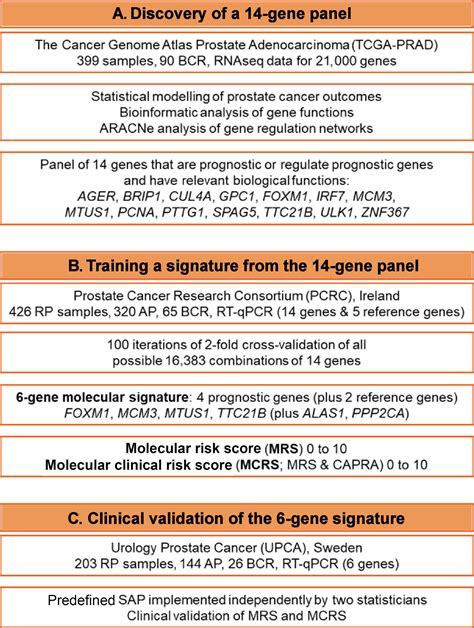 Development Validation And Clinical Utility Of A Six Gene Signature