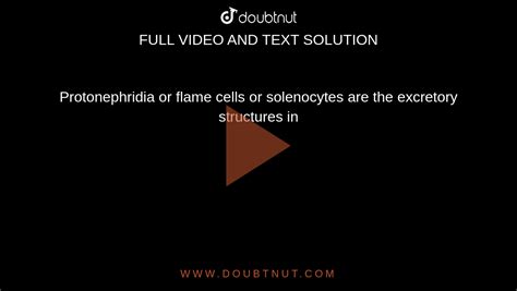 Protonephridia or flame cells or solenocytes are the excretory structu