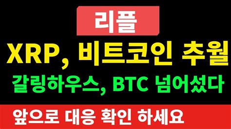 리플 코인xrp 비트코인 추월갈링하우스 Btc 넘어섰다 리플전망리플분석sec리플 Youtube