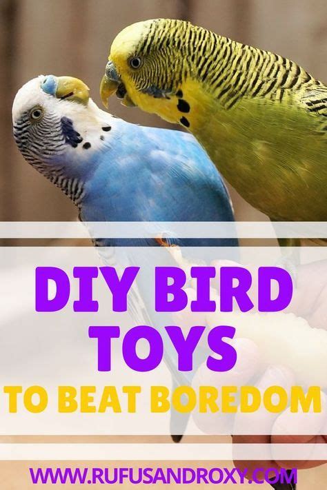 12 Quick Easy DIY Bird Toys To Beat Boredom Diy Bird Toys Diy