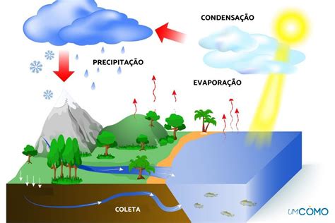 O Que Infiltra O No Ciclo Da Gua Sololearn