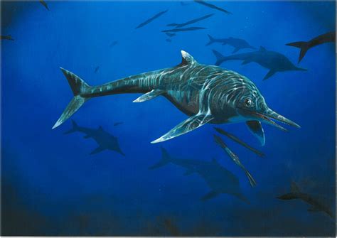 Prehistoric Sea Reptile Lived 200 Million Years Ago