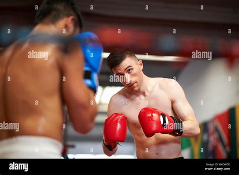 Boxers Sparring Hi Res Stock Photography And Images Alamy