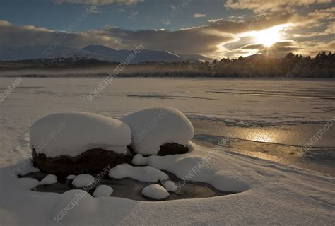 Loch Morlich frozen over in winter - Stock Image - F023/2836 - Science ...