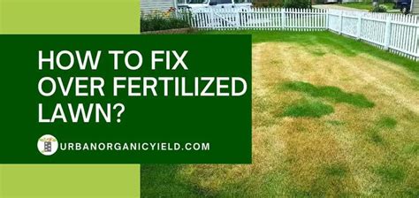 How To Fix Over Fertilized Lawn Signs Of An Over Fertilized Lawn