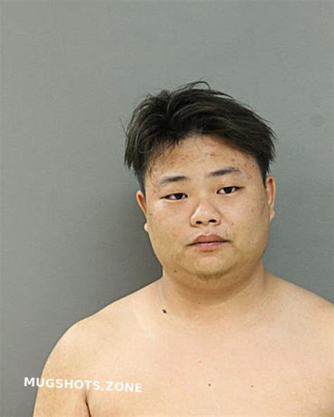 Honggao Liu Chicago Mugshots Zone