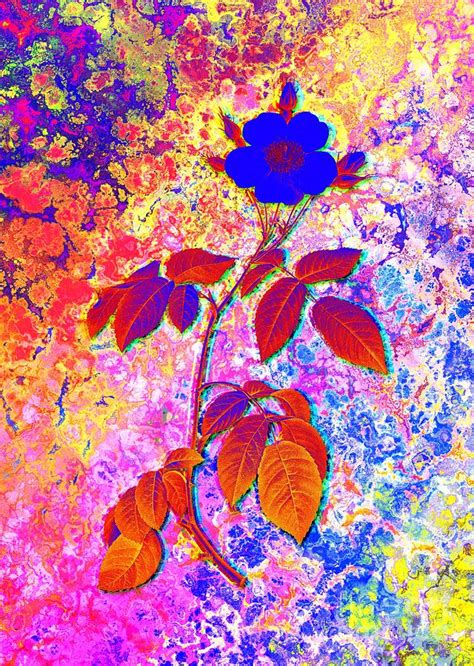 Acid Neon Big Leaved Climbing Rose Botanical Art N Painting By