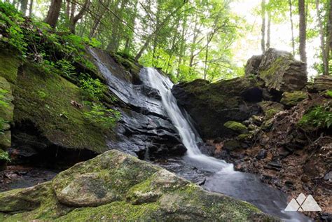 Appalachian Trail in Georgia - Atlanta Trails