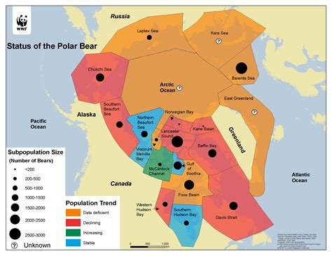 Location/ Biome - Polar Bears