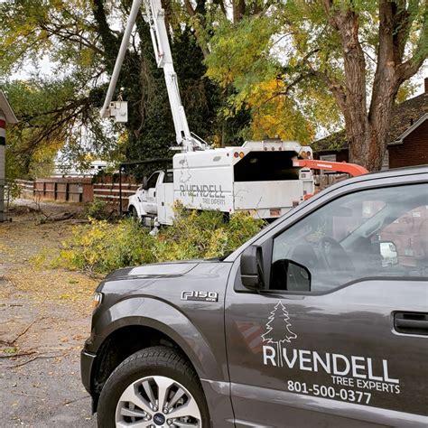 Rivendell Tree Experts Updated December 2024 13 Photos And 22 Reviews 271 N 500 E Lehi